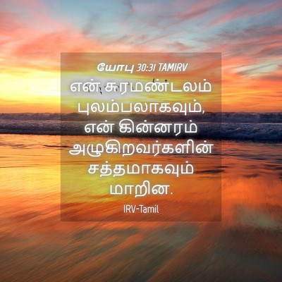 Picture 04 - யோபு 30:31 TAMIRV - என் சுரமண்டலம் - Bible Verse Picture