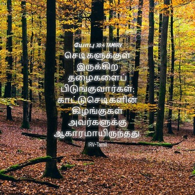 Picture 04 - யோபு 30:4 TAMIRV - செடிகளுக்குள் - Bible Verse Picture