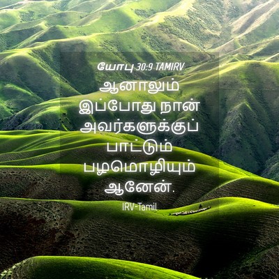 Picture 04 - யோபு 30:9 TAMIRV - ஆனாலும் இப்போது - Bible Verse Picture