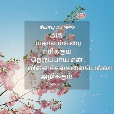Picture 04 - யோபு 31:12 TAMIRV - அது பாதாளம்வரை - Bible Verse Picture