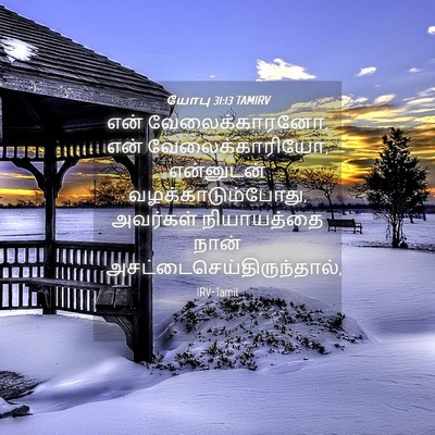 Picture 04 - யோபு 31:13 TAMIRV - என் வேலைக்காரனோ, - Bible Verse Picture