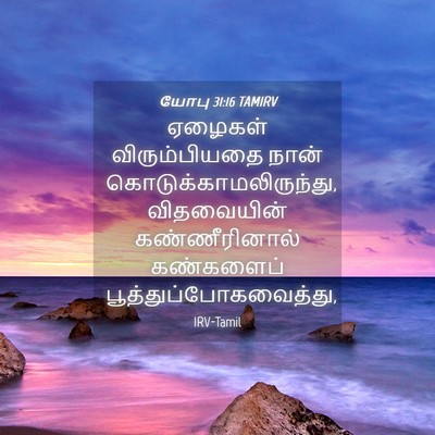 Picture 04 - யோபு 31:16 TAMIRV - ஏழைகள் - Bible Verse Picture