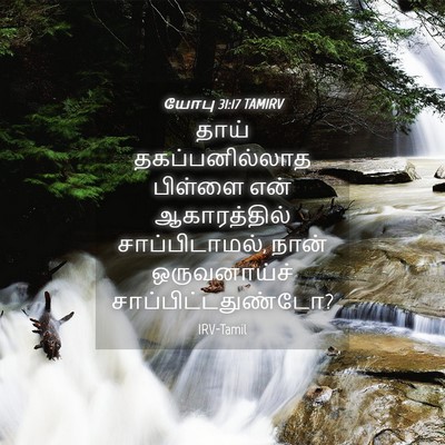 Picture 04 - யோபு 31:17 TAMIRV - தாய் தகப்பனில்லாத - Bible Verse Picture