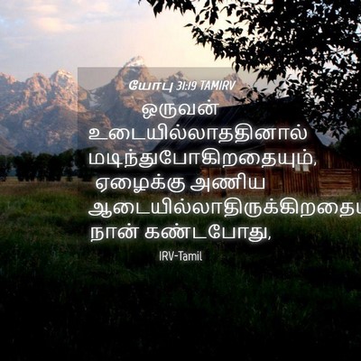 Picture 04 - யோபு 31:19 TAMIRV - ஒருவன் - Bible Verse Picture