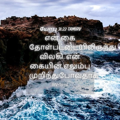 Picture 04 - யோபு 31:22 TAMIRV - என் கை - Bible Verse Picture