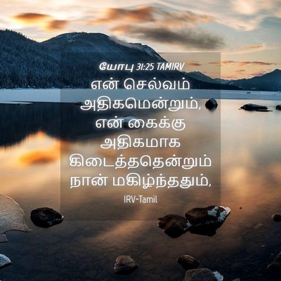 Picture 04 - யோபு 31:25 TAMIRV - என் செல்வம் - Bible Verse Picture