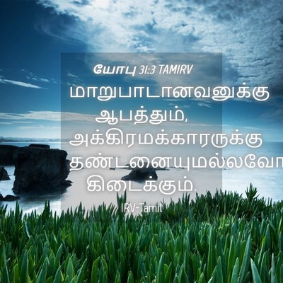 Picture 04 - யோபு 31:3 TAMIRV - மாறுபாடானவனுக்கு - Bible Verse Picture