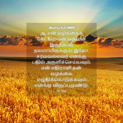 Picture 04 - யோபு 31:35 TAMIRV - ஆ, என் வழக்கைக் - Bible Verse Picture