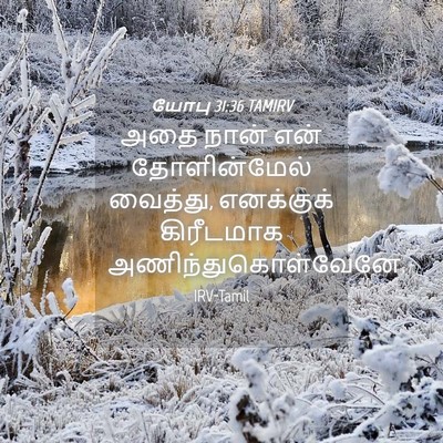 Picture 04 - யோபு 31:36 TAMIRV - அதை நான் என் - Bible Verse Picture