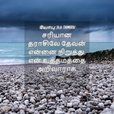 Picture 04 - யோபு 31:6 TAMIRV - சரியான தராசிலே - Bible Verse Picture