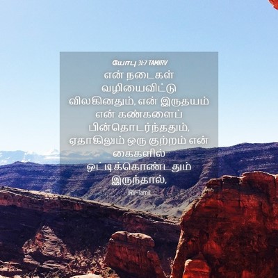 Picture 04 - யோபு 31:7 TAMIRV - என் நடைகள் - Bible Verse Picture