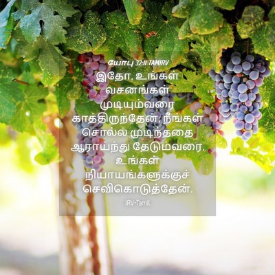Picture 04 - யோபு 32:11 TAMIRV - இதோ, உங்கள் - Bible Verse Picture