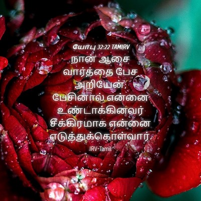 Picture 04 - யோபு 32:22 TAMIRV - நான் ஆசை வார்த்தை - Bible Verse Picture