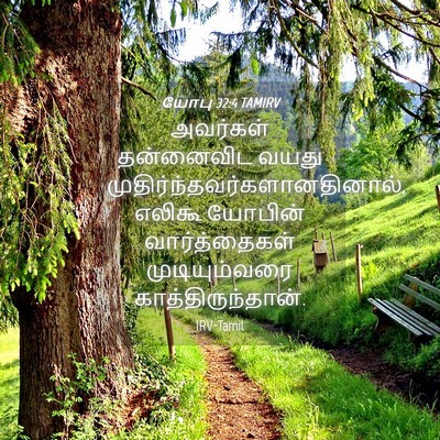 Picture 04 - யோபு 32:4 TAMIRV - அவர்கள் தன்னைவிட - Bible Verse Picture