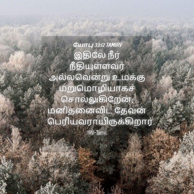 Picture 04 - யோபு 33:12 TAMIRV - இதிலே நீர் - Bible Verse Picture