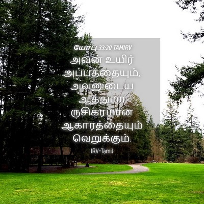 Picture 04 - யோபு 33:20 TAMIRV - அவன் உயிர் - Bible Verse Picture