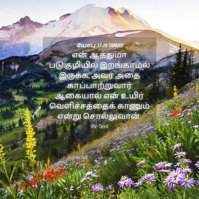 Picture 04 - யோபு 33:28 TAMIRV - என் ஆத்துமா - Bible Verse Picture