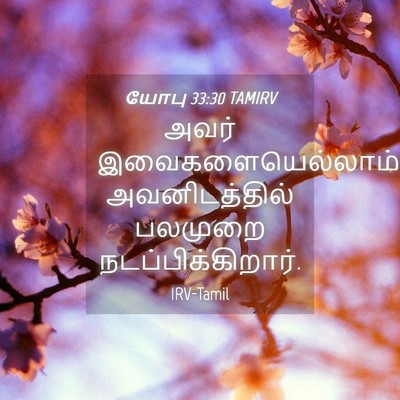 Picture 04 - யோபு 33:30 TAMIRV - அவர் - Bible Verse Picture