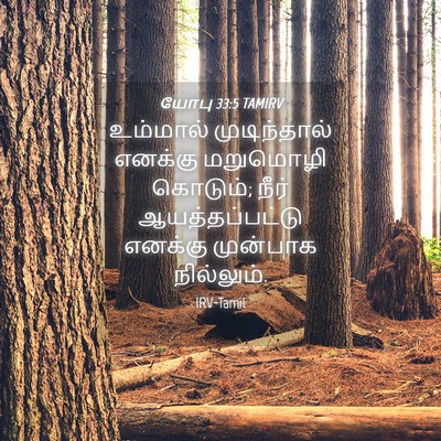 Picture 04 - யோபு 33:5 TAMIRV - உம்மால் - Bible Verse Picture