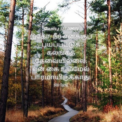 Picture 04 - யோபு 33:7 TAMIRV - இதோ, நீர் எனக்குப் - Bible Verse Picture