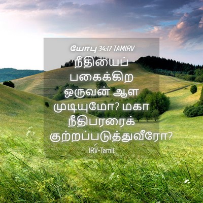 Picture 04 - யோபு 34:17 TAMIRV - நீதியைப் பகைக்கிற - Bible Verse Picture