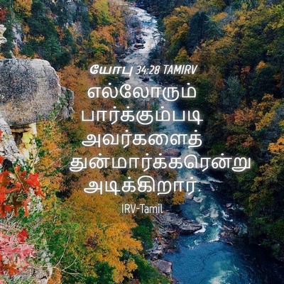 Picture 04 - யோபு 34:28 TAMIRV - எல்லோரும் - Bible Verse Picture
