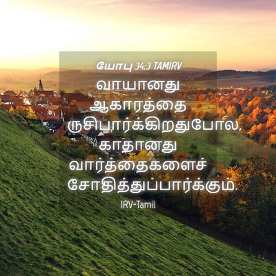 Picture 04 - யோபு 34:3 TAMIRV - வாயானது ஆகாரத்தை - Bible Verse Picture