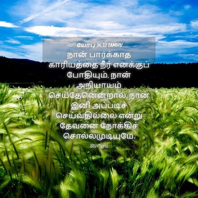 Picture 04 - யோபு 34:32 TAMIRV - நான் பார்க்காத - Bible Verse Picture