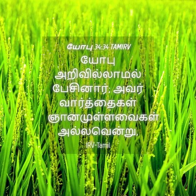 Picture 04 - யோபு 34:34 TAMIRV - யோபு அறிவில்லாமல் - Bible Verse Picture