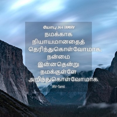 Picture 04 - யோபு 34:4 TAMIRV - நமக்காக - Bible Verse Picture