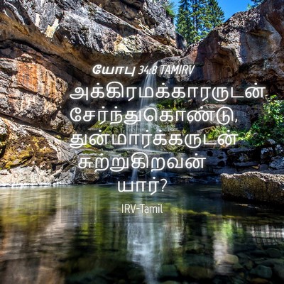 Picture 04 - யோபு 34:8 TAMIRV -  - Bible Verse Picture