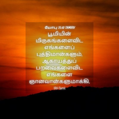 Picture 04 - யோபு 35:10 TAMIRV - பூமியின் - Bible Verse Picture