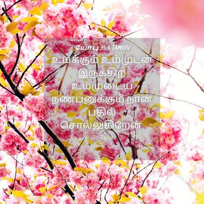 Picture 04 - யோபு 35:4 TAMIRV - உமக்கும் உம்முடன் - Bible Verse Picture