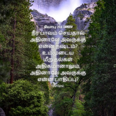 Picture 04 - யோபு 35:6 TAMIRV - நீர் பாவம் - Bible Verse Picture