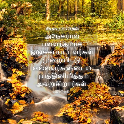 Picture 04 - யோபு 35:9 TAMIRV - அநேகரால் - Bible Verse Picture