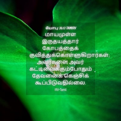 Picture 04 - யோபு 36:13 TAMIRV - மாயமுள்ள - Bible Verse Picture