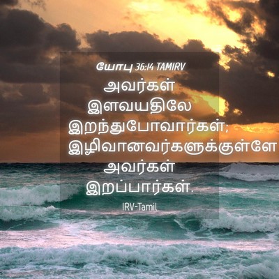 Picture 04 - யோபு 36:14 TAMIRV - அவர்கள் இளவயதிலே - Bible Verse Picture