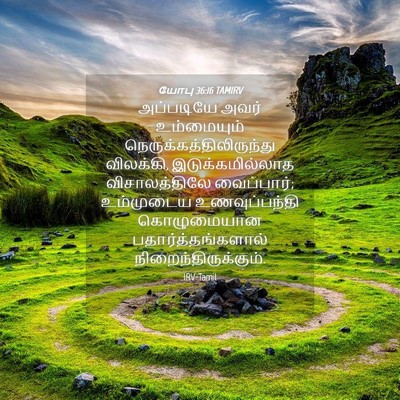 Picture 04 - யோபு 36:16 TAMIRV - அப்படியே அவர் - Bible Verse Picture