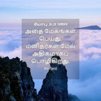 Picture 04 - யோபு 36:28 TAMIRV - அதை மேகங்கள் - Bible Verse Picture