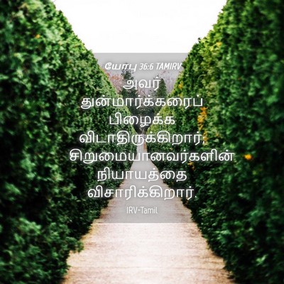 Picture 04 - யோபு 36:6 TAMIRV - அவர் - Bible Verse Picture
