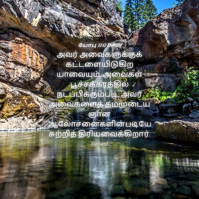 Picture 04 - யோபு 37:12 TAMIRV - அவர் அவைகளுக்குக் - Bible Verse Picture