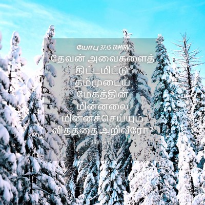 Picture 04 - யோபு 37:15 TAMIRV - தேவன் அவைகளைத் - Bible Verse Picture