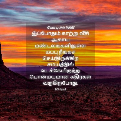 Picture 04 - யோபு 37:21 TAMIRV - இப்போதும் காற்று - Bible Verse Picture