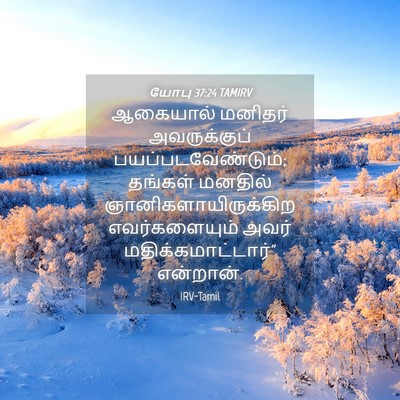 Picture 04 - யோபு 37:24 TAMIRV - ஆகையால் மனிதர் - Bible Verse Picture
