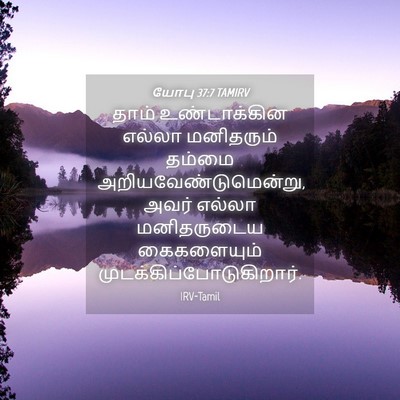 Picture 04 - யோபு 37:7 TAMIRV - தாம் உண்டாக்கின - Bible Verse Picture