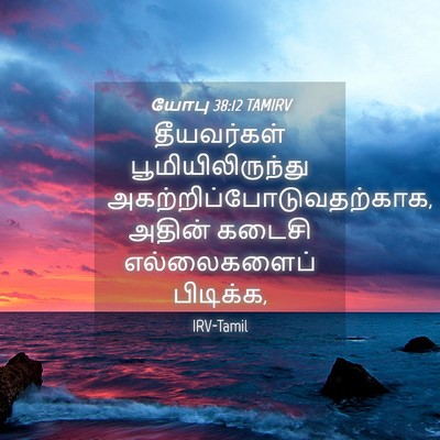Picture 04 - யோபு 38:12 TAMIRV - தீயவர்கள் - Bible Verse Picture