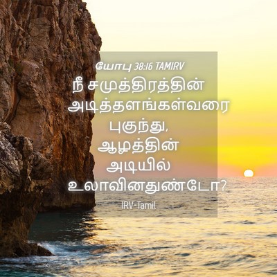 Picture 04 - யோபு 38:16 TAMIRV - நீ சமுத்திரத்தின் - Bible Verse Picture