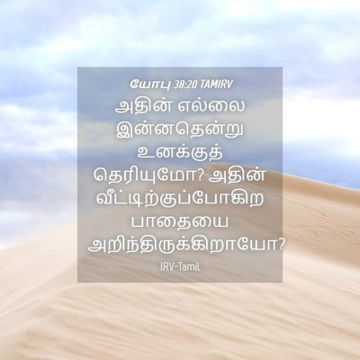 Picture 04 - யோபு 38:20 TAMIRV - அதின் எல்லை - Bible Verse Picture