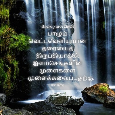 Picture 04 - யோபு 38:25 TAMIRV - பாழும் - Bible Verse Picture