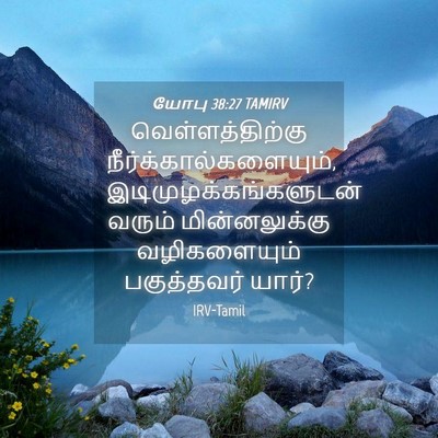 Picture 04 - யோபு 38:27 TAMIRV - வெள்ளத்திற்கு - Bible Verse Picture